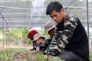 Program RHL tingkatkan ekonomi masyarakat pedalaman Kalbar