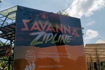 Savvanah Zipline: Sensasi melayang di atas satwa Afrika