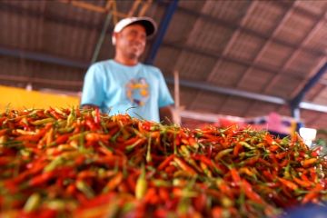 BPS catat tomat dan cabai penyebab utama inflasi Gorontalo