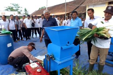 Pakan tambahan ideal hasilkan bobot tinggi pada sapi