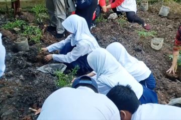 Pelajar berkebun, program Pemkot Tangerang untuk jaga ketahanan pangan