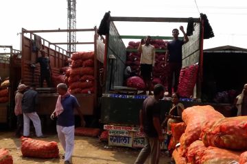 Pemerintah India berlakukan larangan ekspor bawang