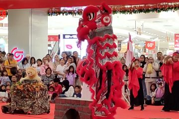 11 kelompok Barongsai ikuti Festival Barongsai Nasional di Semarang