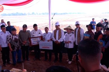 Kementan beri bantuan Rp181,5 miliar kepada Lampung