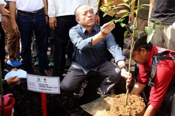 Sekjen KLHK tanam 1.000 pohon di Kabupaten Mempawah