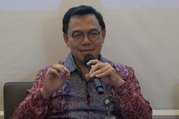 Kemenkes tegaskan program wolbachia adalah kegiatan pelengkap