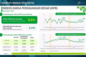 BPS catat Indeks Harga Perdagangan Besar 3,14 persen Desember 2023