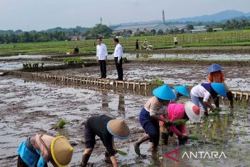 Menteri Pertanian sebut Presiden Jokowi menyayangi petani