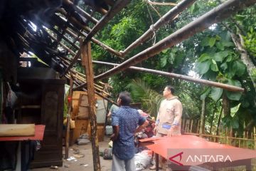 Di Bantul, angin kencang tumbangkan puluhan pohon