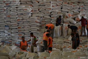 Peneliti CORE: Kebijakan holistik kunci stabilisasi harga beras
