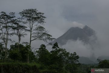 Aktivitas Gunung Merapi di level III