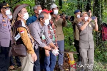 Balai Besar TNGGP lepaskan Elang Jawa Kalina ke alam bebas