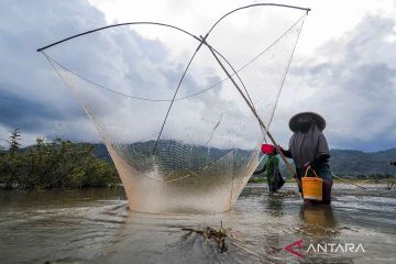 Memanfaatkan banjir untuk mencari ikan di Sungai Penuh.