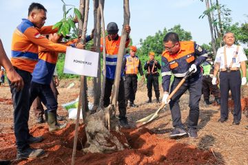 KAI Daop 1 gelar kegiatan tanam pohon dalam Gerakan Satu Juta Pohon