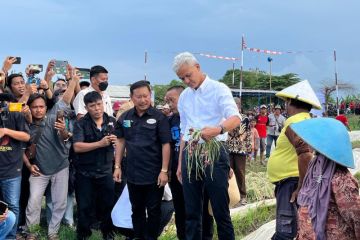 Ganjar minta TPN cek masalah sistem irigasi di Brebes