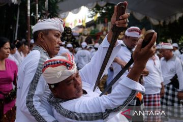 Upacara Pecaruan Laba Kama Durga di Bali