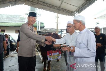 Kapolri sumbang sapi untuk Haul ke-19 Guru Sekumpul pada 14 Januari