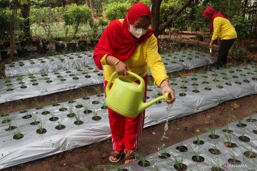 Gerakan komunitas untuk meminimalkan dampak negatif perubahan iklim