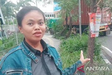 Pemasangan APK di pohon jadi pro-kontra di kalangan warga Jakut