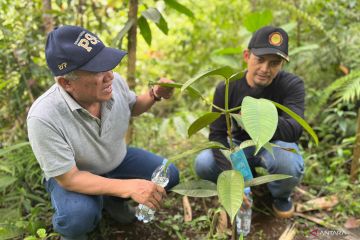 Kementan temui petani Upland Project susun strategi tani yang optimal