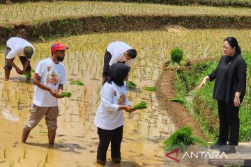 Ketua DPR berharap produksi pertanian melimpah dan petani sejahtera