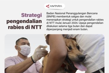 Strategi pengendalian rabies di NTT