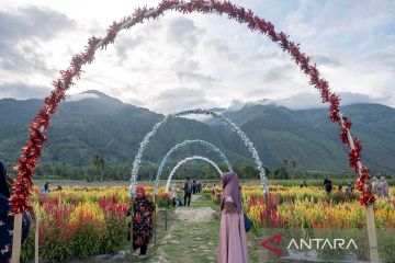 Libur tahun baru di taman bunga