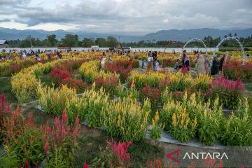 Libur tahun baru di taman bunga