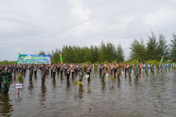 TNI tanam 4.000 pohon di Bengkulu jaga bumi dari perubahan iklim