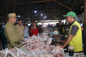 Pj Gubernur Kalbar menyikapi kenaikan harga daging ayam di Ketapang