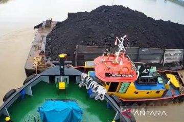 Pelabuhan Pelindo di Jambi ditabrak kapal pengangkut batubara