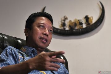 PPP sambut baik putusan MK hapus ambang batas parlemen 4 persen