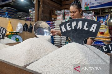 Harga beras turun tipis di Palu