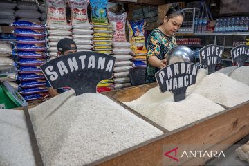 Harga beras turun tipis di Palu