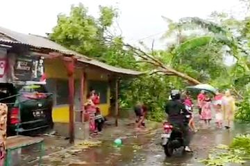 Puluhan rumah di Bondowoso porak-poranda diterjang puting beliung