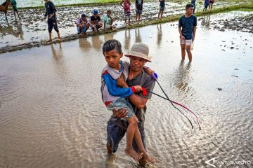 PACUAN KUDA LUMPUR DOMPU