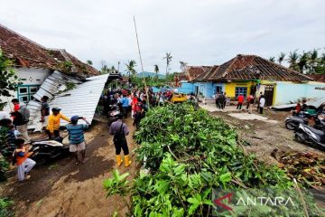 Jumlah rumah terdampak puting beliung di Bondowoso bertambah jadi 202