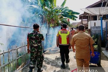 Dinkes OKU Selatan cegah penyebaran DBD melalui fogging