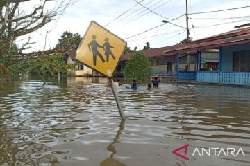 BPBD: Sudah 138 desa terdampak bencana banjir di Kalbar