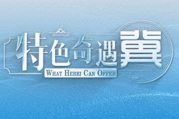 Keunggulan yang Ditawarkan Hebei 丨Kisah Sepeda Anak-Anak yang Mendunia