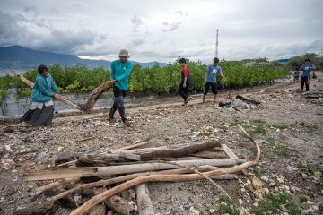Pembersihan pantai di kawasan konservasi mangrove