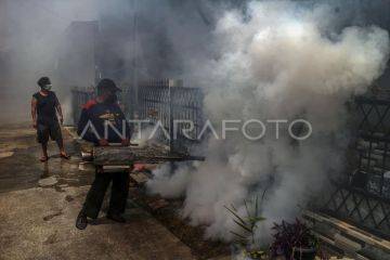 Fogging mencegah peningkataan kasus DBD di Depok