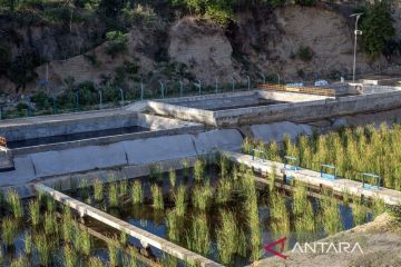 Target pemanfaatan gas metana dari TPA