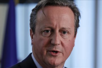 Menlu Inggris Cameron ingin PM Netanyahu sepakati jeda kemanusiaan