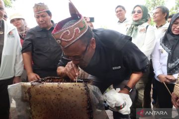 AS kagumi praktik pengelolaan hutan di Indonesia