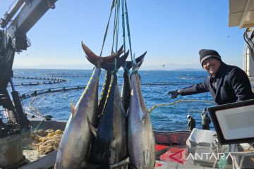 KKP siap mengadopsi teknologi budi daya ikan tuna dari Turki