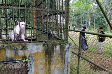 Aksi kepedulian komunitas di Medan Zoo