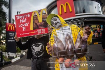 Aktivis mendesak komitmen ayam petelur bebas sangkar