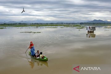 Sawah terendam banjir di Makassar