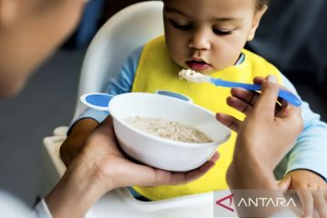 Ahli: Perhatikan tekstur MPASI dalam melatih bayi untuk makan